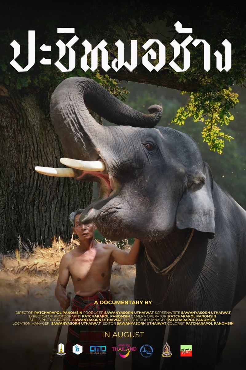 โปสเตอร์ ปะชิหมอช้าง