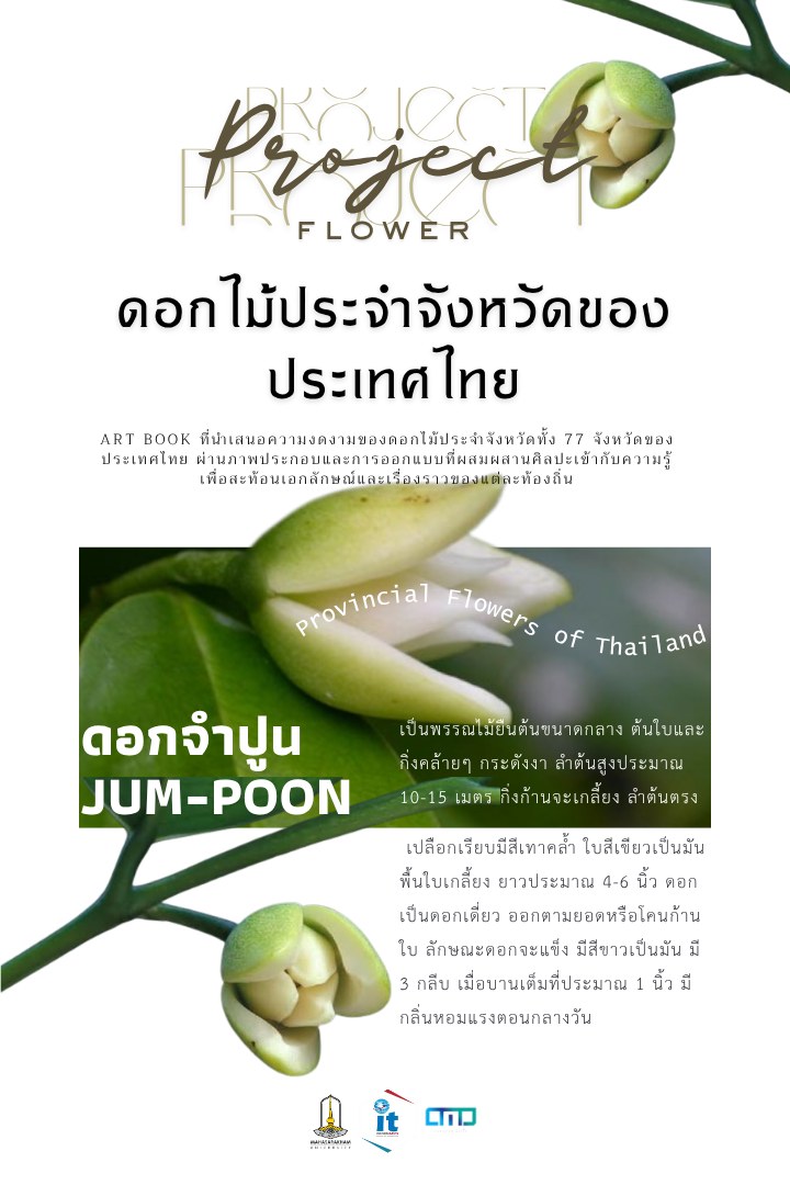 โปสเตอร์ การออกแบบ Art Book เพื่อถ่ายทอดความรู้เกี่ยวกับดอกไม้ประจำจังหวัดของประเทศไทย